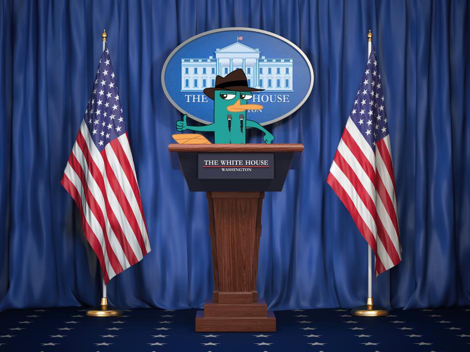 PerryMemeCoin's tweet photo. Agent P aka $Perry the platypus
Future Cryptimarket leader
#Perrycoin #memecoin #BTC #ETH #trading #Sniperbot #crypto #memecoin1000x #Solanamecoin #SolanaProjects #SOL https://t.co/QRbwtwvSpz