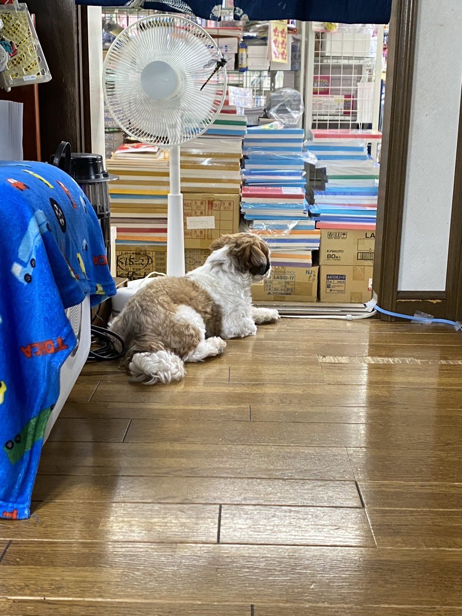 _roko318's tweet photo. ろこち〜？キャ〜〜ッ！ https://t.co/Q7Cp9iV721