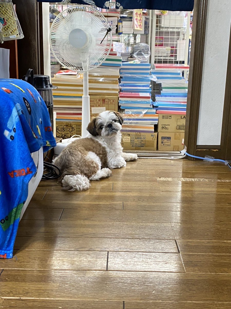_roko318's tweet photo. ろこち〜？キャ〜〜ッ！ https://t.co/Q7Cp9iV721