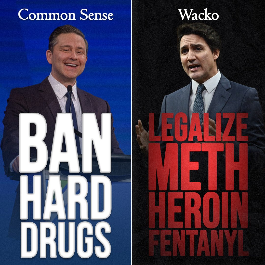 PierrePoilievre's tweet photo. Your choice. 

Common sense Conservatives who will ban hard drugs &amp; fund treatment and recovery. 

OR 

Trudeau-NDP who have a secret national drug decriminalization plan.

Sign to support our common sense plan: https://t.co/DQcbCeXzXd https://t.co/ZCR6oCdhLt