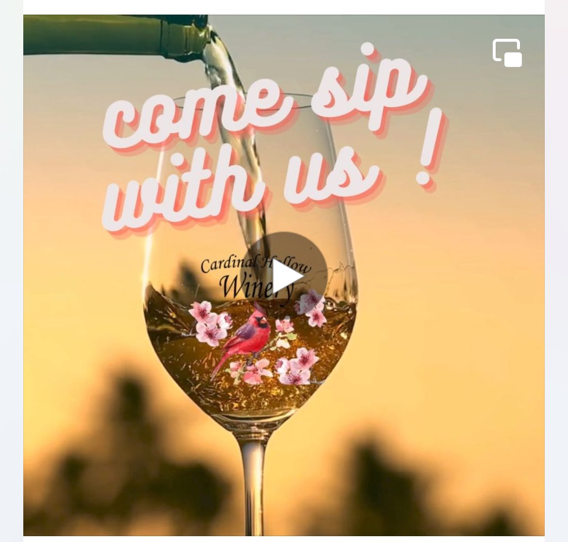 Its time for Peach wine!!!