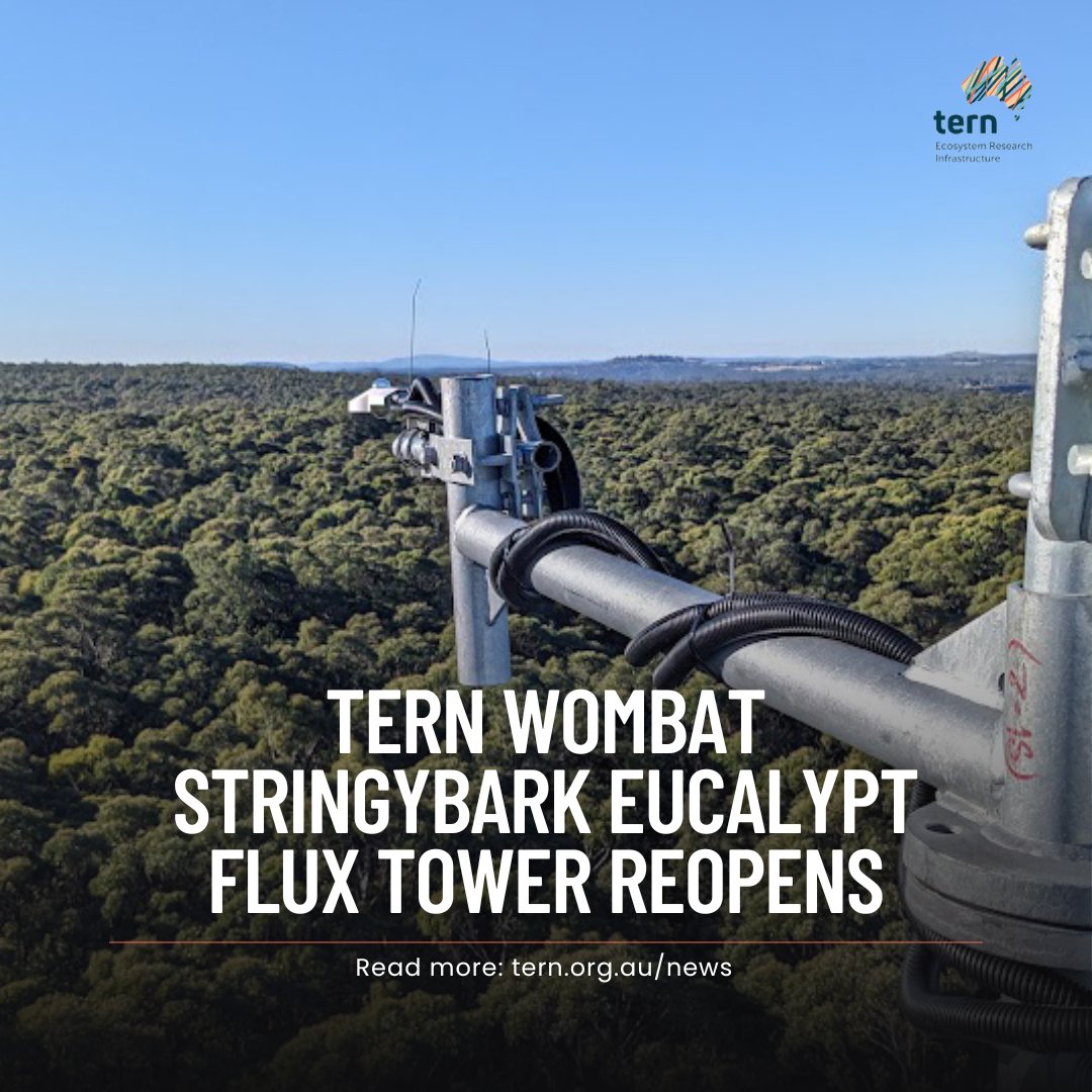 TERN_Aus's tweet photo. 📡 It has taken almost three years, but the new 35 metre eddy-covariance #fluxtower at the Wombat Stringybark Eucalypt SuperSite has officially been completed and is again collecting #data.
Read all about it here: https://t.co/B2EJsF4FGL https://t.co/dNzRlQ4wEC