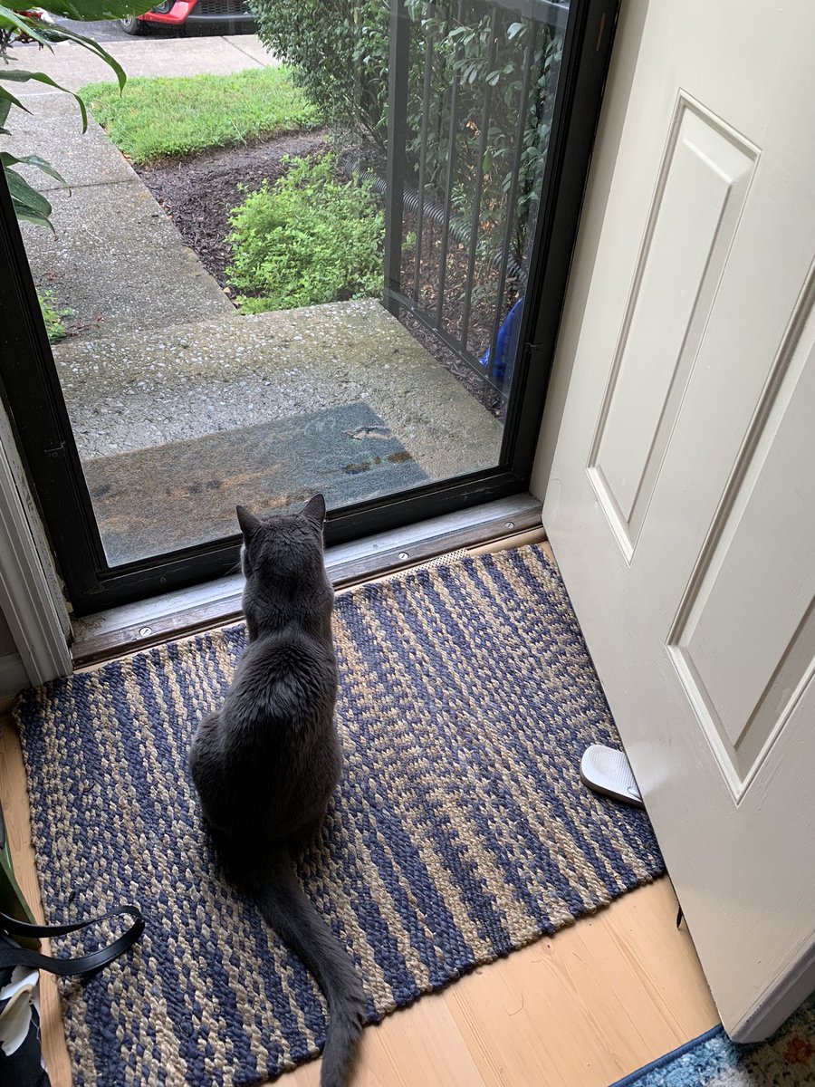 Emily Chadwick tweet media