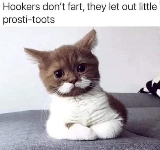 xLaughLab's tweet photo. lol 🤣
#humor #dankmemesdaily #memestagram #funnytweets #follow #comedy #love #funnyvideos #indianmemes #jokes #anime #darkhumor #instamemes #instagood #tweet #hoodmemes #likeforlikes #sarcasm #twitterthread #quotes #spicymemes #like #threads #followforfollowback #facebookmemes https://t.co/TSzWkW0AZW