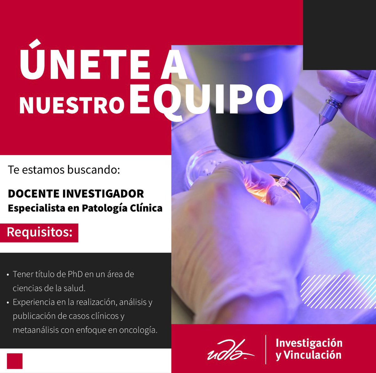 IMMoyaM's tweet image. La Universidad de las Américas (UDLA) se complace en anunciar la apertura de una posición para un investigador (PhD) a tiempo completo en el área de investigación del cáncer.
Para más información
empleos.udla.edu.ec/job-invite/559…
empleos.udla.edu.ec/job-invite/559…