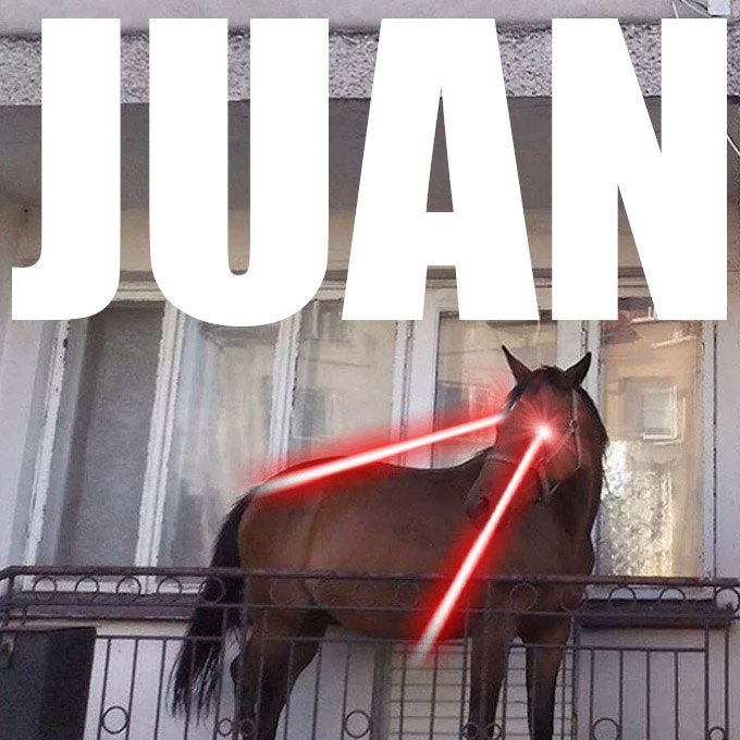 JuanDaH0rse's tweet photo. @yourcryptodj "Juan" https://t.co/J3I5tTCIMa
