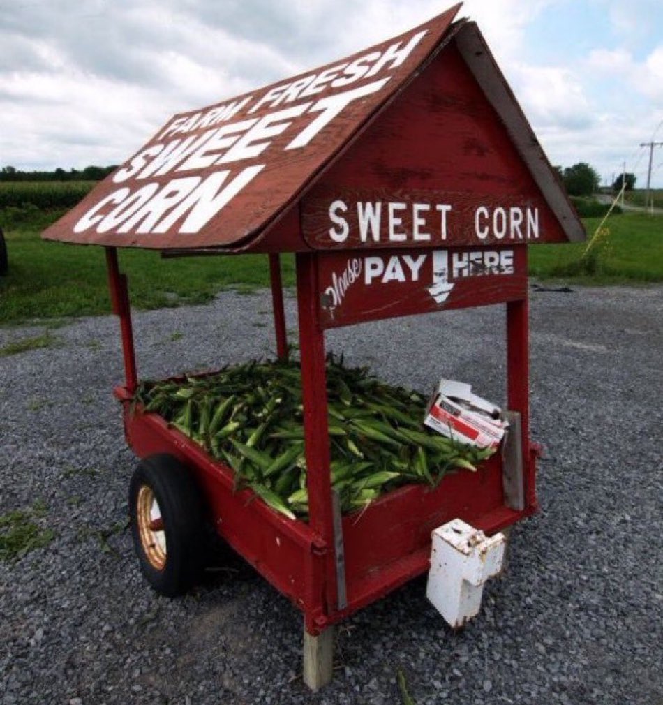 midwestern_ope's tweet photo. “This country is falling apart”

Honor system sweet corn vendor: https://t.co/RARSgxGEEL