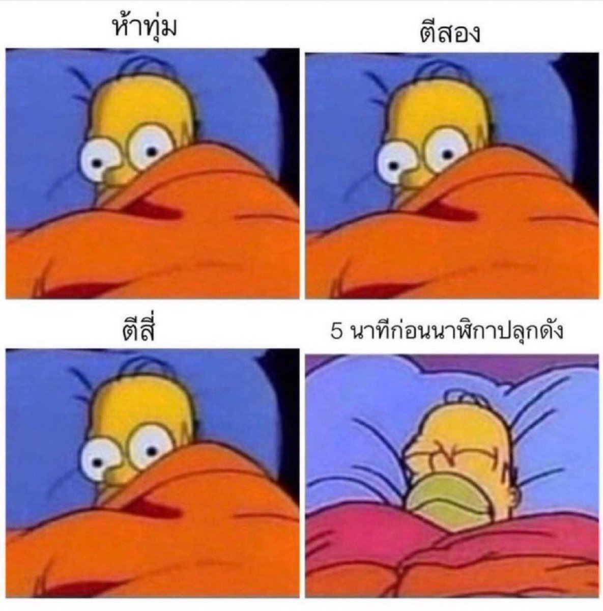 ช่างแม่ง🐰🏳️🌈 tweet media