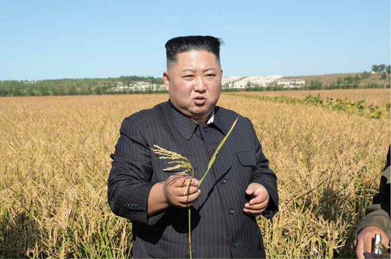 朝鮮人民軍bot tweet media