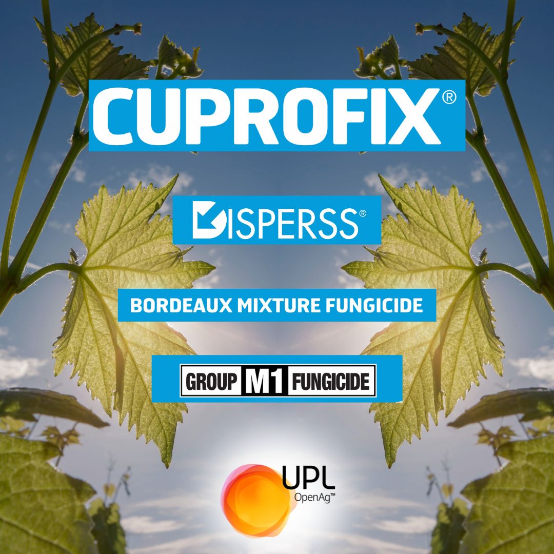 UPLAUSLtd's tweet image. 🍇#CUPROFIX® Disperss® superior copper formulation to control bacterial &amp;amp; fungal diseases in trees &amp;amp; vines.
✅Broad-spectrum low-cost fungicide with small particle size, minimal dust, instant dispersion + excellent wettability &amp;amp; suspension 👉 bit.ly/3CvGfsh
#UPL #OpenAg