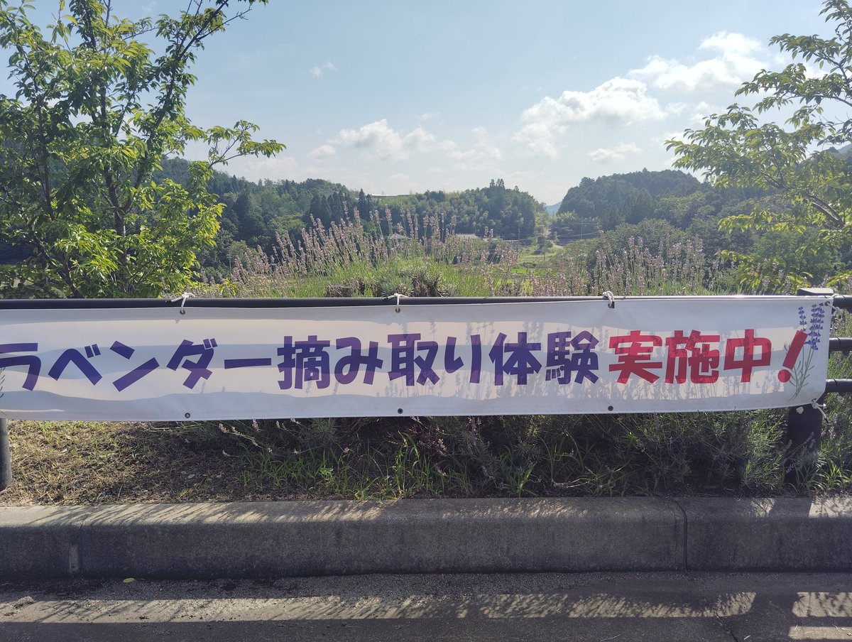 おはようございます☀

もうすぐオリンピックです🎉🎉
楽しみで夜も熟睡です!!

そう言えばラベンダー掴み取りやってました。
ラベンダーって本当にラベンダーの香りするんですね（当たり前や！）

てことで、
本日もよろしくお願いいたします🙇

#企業公式が朝の挨拶を言い合う
#企業公式相互フォロー