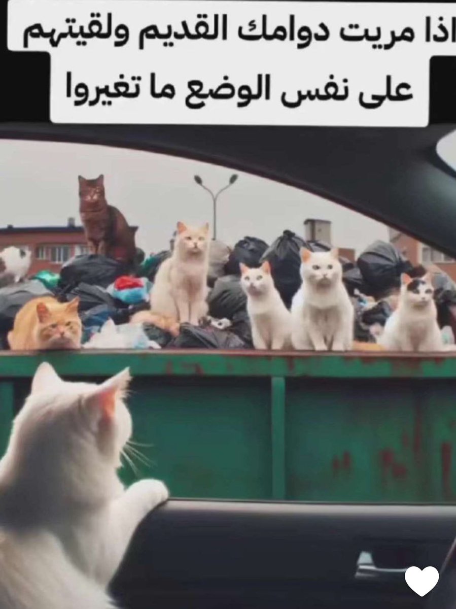 LLLL (@smile_2018) on Twitter photo 