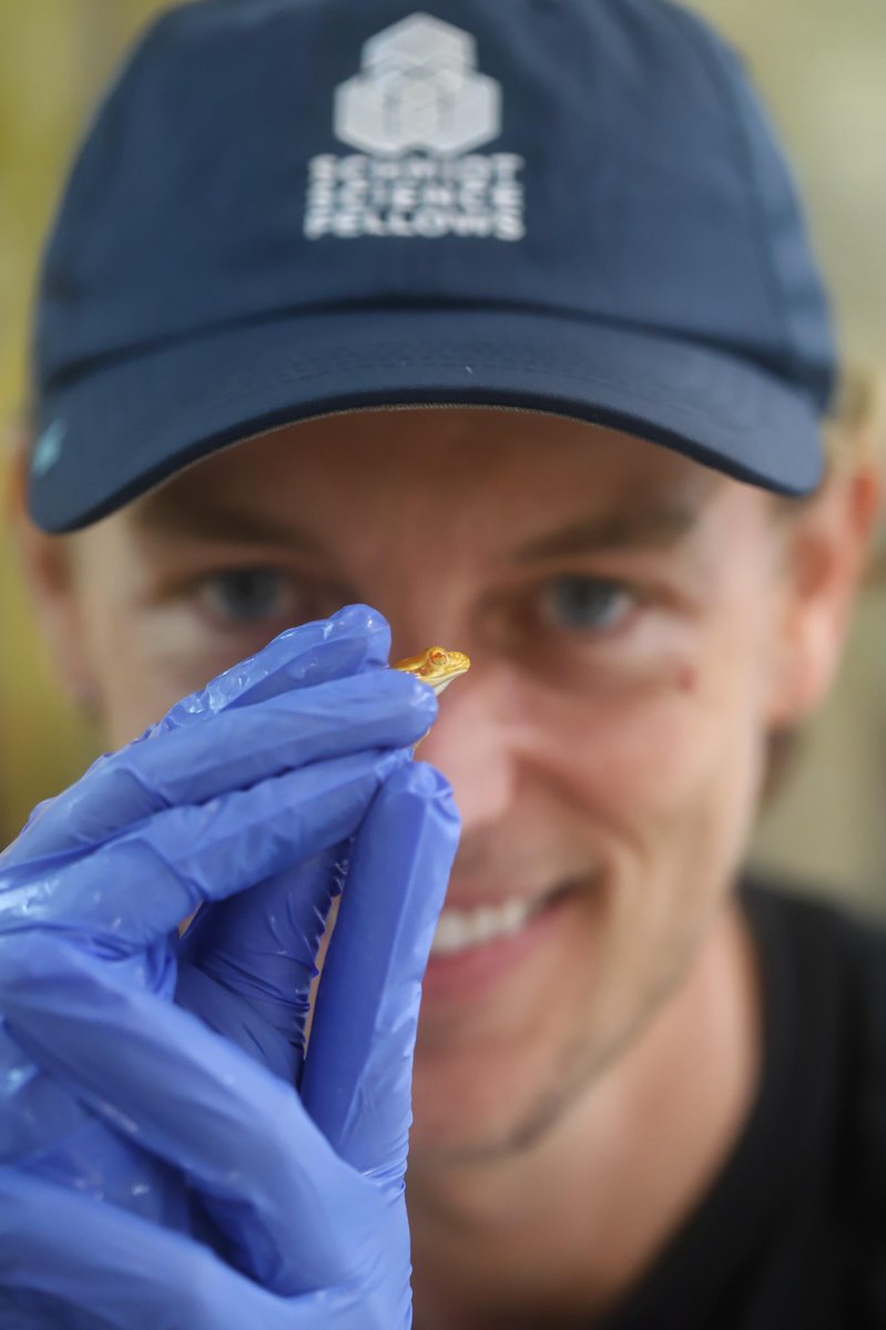 Anthony Waddle (@anthonywaddle) on Twitter photo Thanks <a href="/SchmidtFellows/">Schmidt Science Fellows</a> for a successful Interdisciplinary Science Summit! I am returning home inspired and ready to take on new challenging projects to help our endangered species (sneak peak pictured 😉). Grateful for this community and its values ❤️ Thanks <a href="/SchmidtFellows/">Schmidt Science Fellows</a> for a successful Interdisciplinary Science Summit! I am returning home inspired and ready to take on new challenging projects to help our endangered species (sneak peak pictured 😉). Grateful for this community and its values ❤️