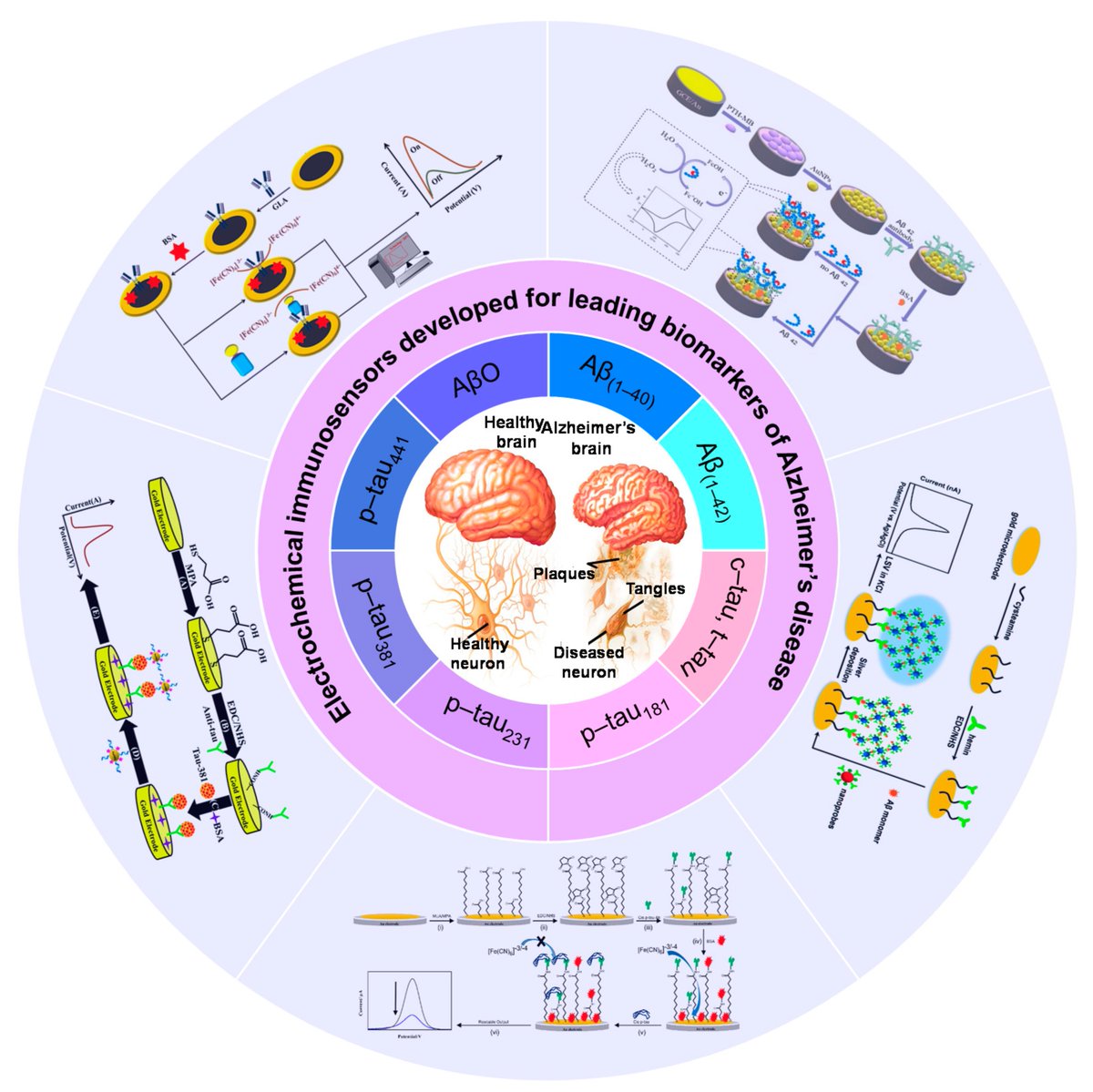 Biosensors_MDPI's tweet image. #Review
Electrochemical Immunosensors Developed for Amyloid-Beta and Tau Proteins, Leading Biomarkers of Alzheimer’s Disease
by Abhinav Sharma, et al.
mdpi.com/2079-6374/13/7…
@KAUST_News
@MDPIOpenAccess
@ChemMatSci_MDPI
 
#Electrochemical #Immunosensors #Biomarkers