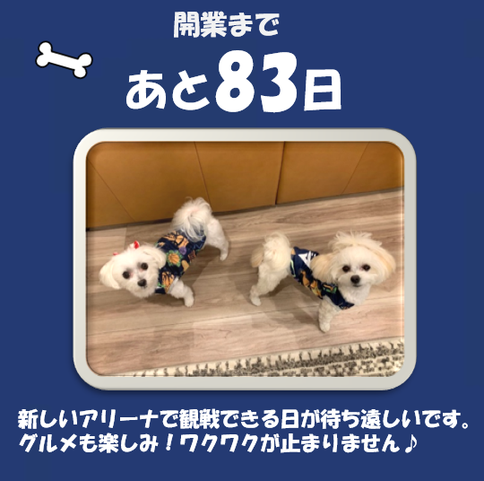 長崎スタジアムシティ公式（Nteam) tweet media