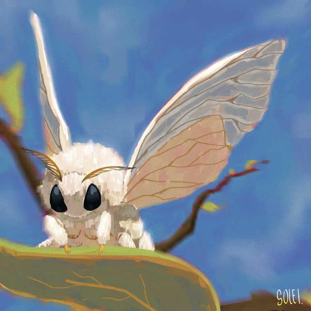 MrsSolei's tweet photo. Moth
#art #artist #artists #fypシviral #fypシ゚viralシfypシ゚ #moth https://t.co/CtTA4Iwjoj