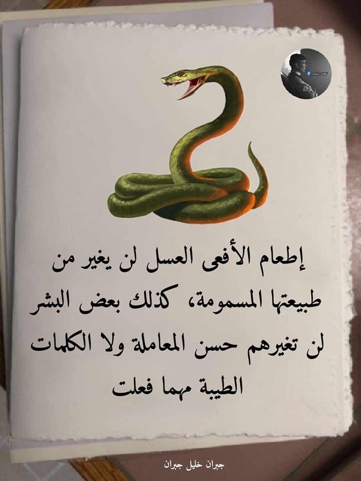moneef9999's tweet photo. https://t.co/wYiw1KGqVn