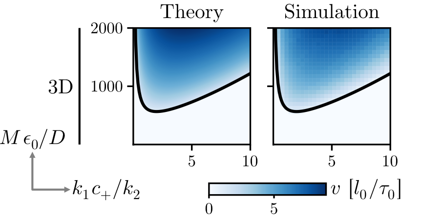 AndriyGoychuk's tweet photo. We used thermodynamic consistency as criterion to select the droplet velocity from this set of possible states, and found that it explained our FEM simulations. With this framework, we then interrogated the onset of droplet motion in the presence of reciprocal interactions. 6/n https://t.co/SJhd6VMux9