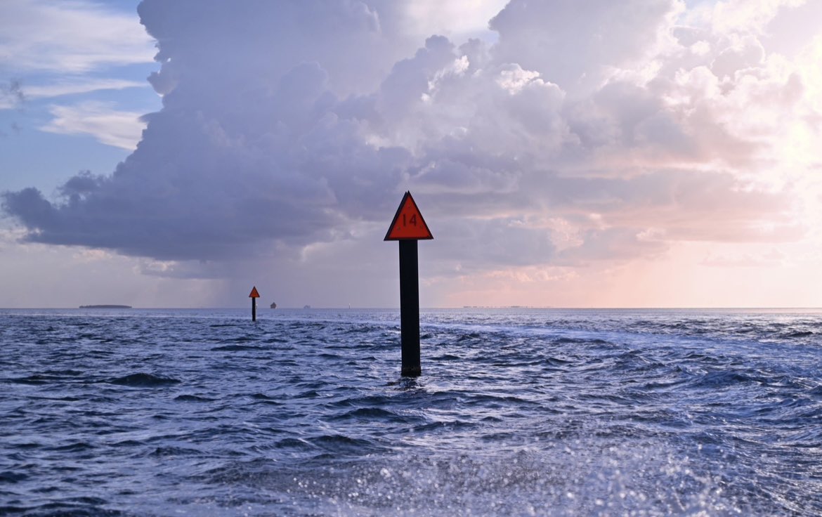 Born on the Saltwater.. just how we like it 😎🌊