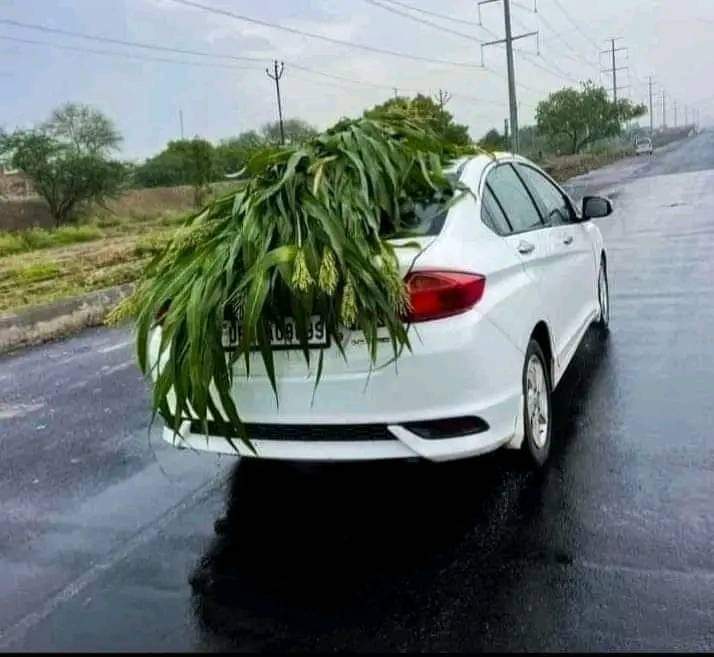 भाई ये काम तो किसान ही कर सकता है 
हर कोई की बस्की बात नहीं है 
किसान तो किसान होते हैं