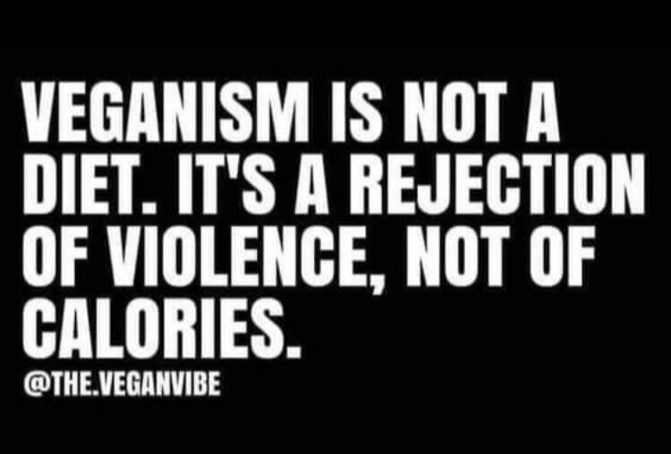 ⚖️ #Vegan