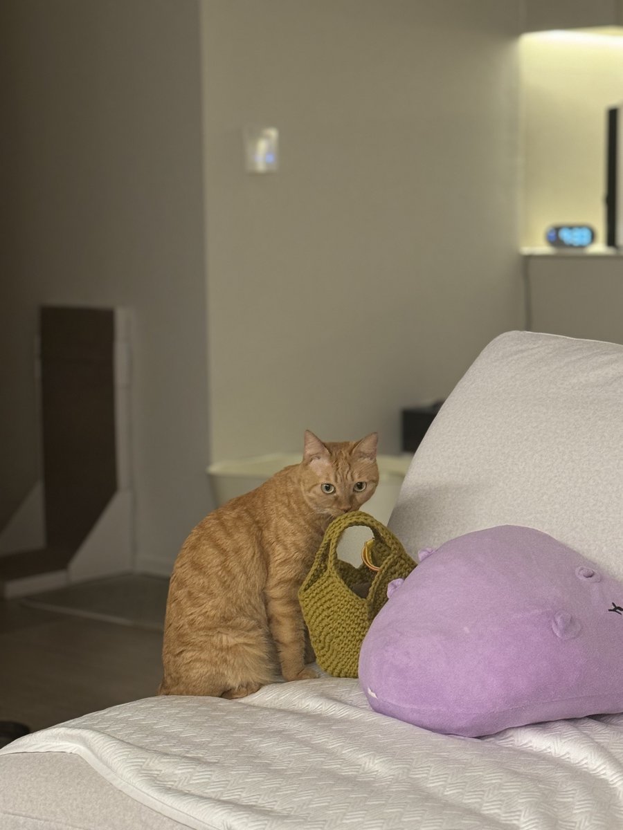 귀욤귀욤귀요미💕