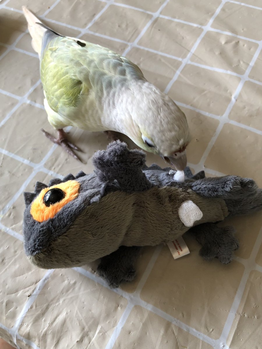 あーっ💦💦

買ったばかりなのに😮‍💨