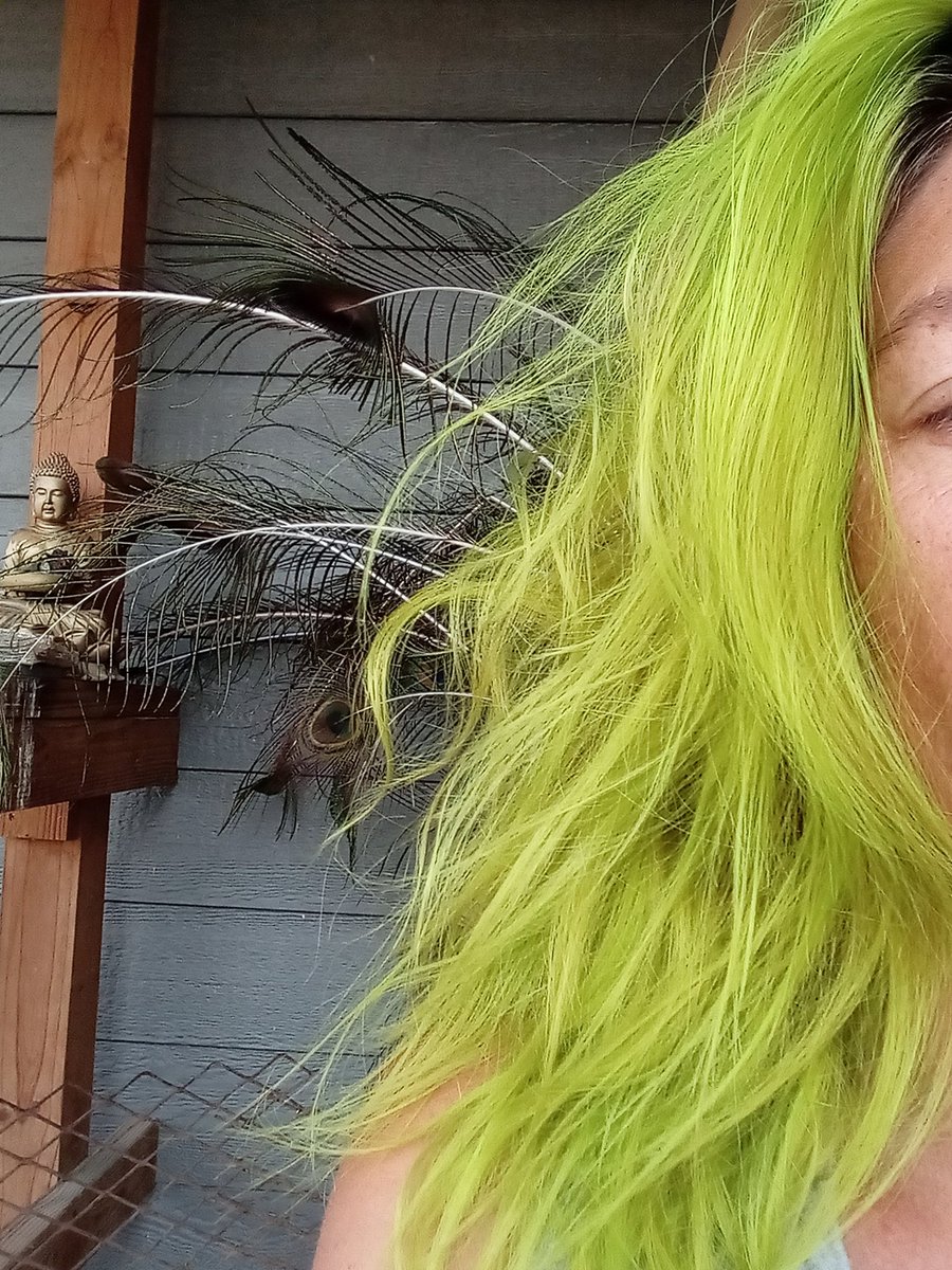 ResonantFortune's tweet photo. i dont wear makeup or fancy clothes.
i do color ma hair and have excellent taste in #trashion https://t.co/wtsTPsOO0Y