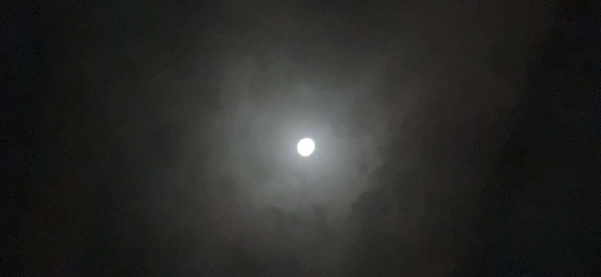 اللهم أقبِلْ بنا عليك، واصرف قلوبنا إليك..

#قمر_الليلة 
#رسالة_لقلبك