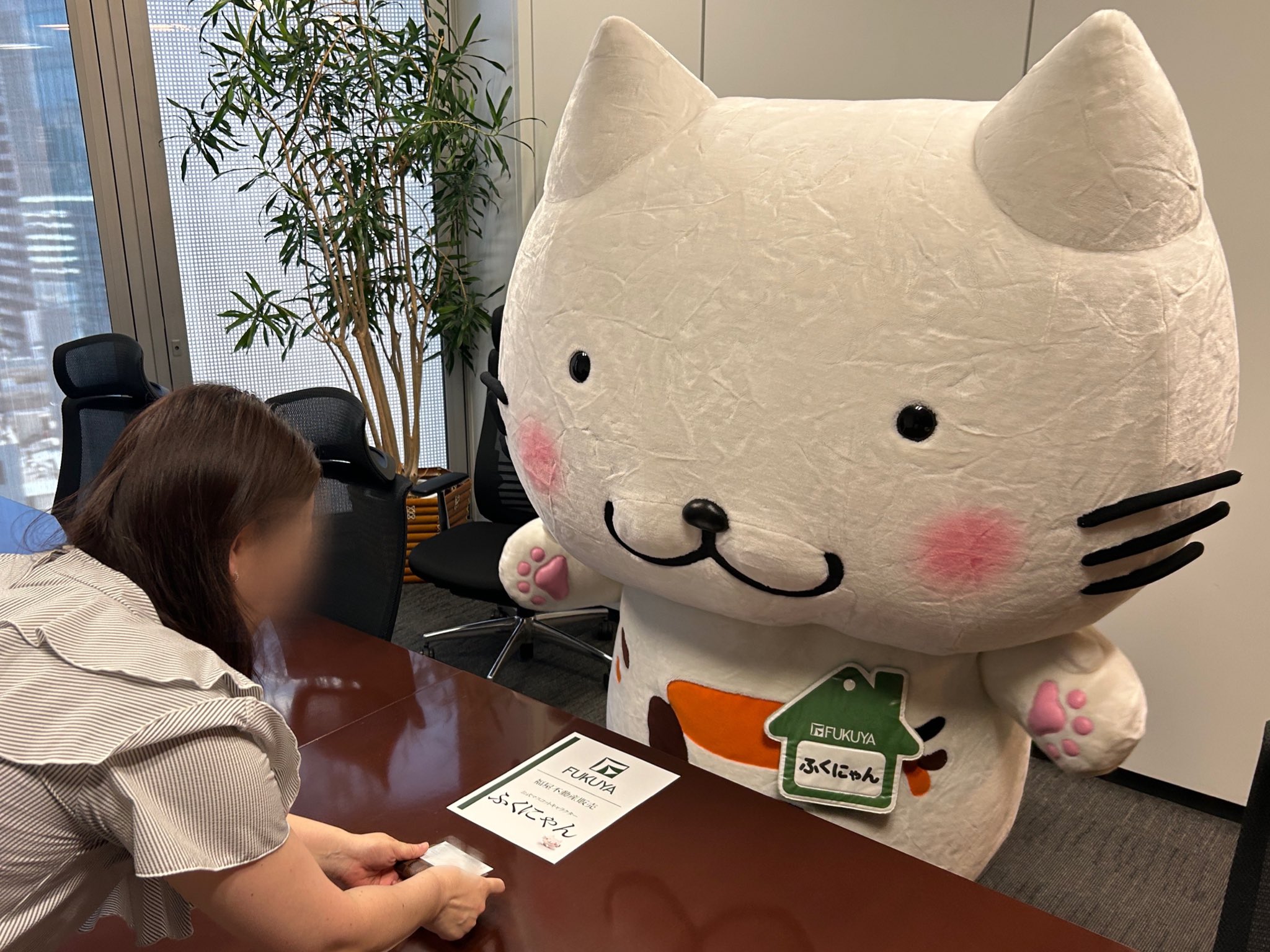 ふくにゃん｜福屋不動産販売【公式】🐾 on X: 