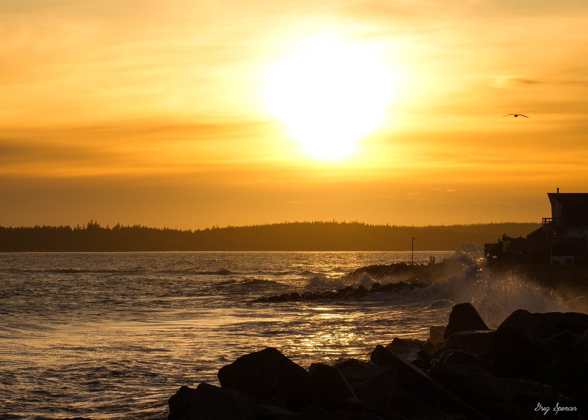 SpellCasterOne's tweet image. Photo of the day.
Eastern Passage, Nova Scotia, Canada