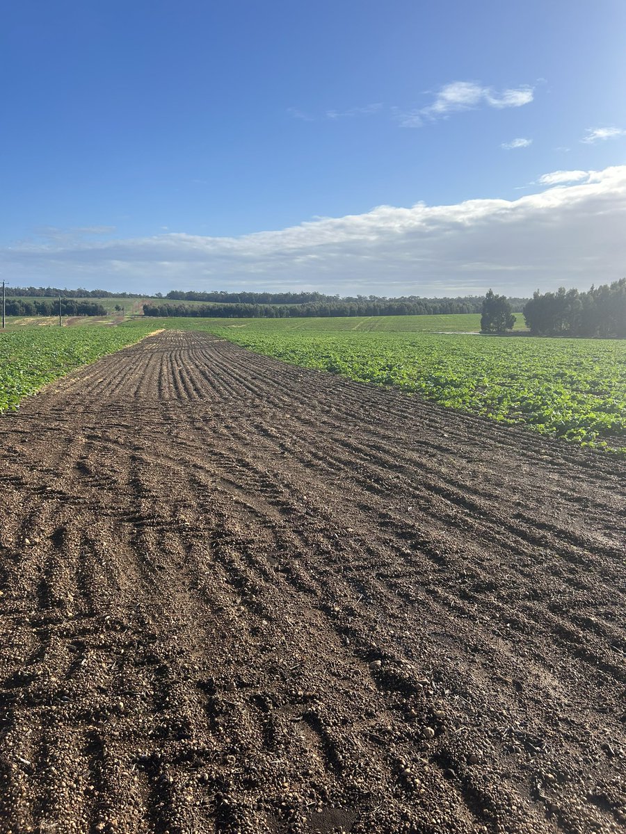 Brad Mclean tweet media