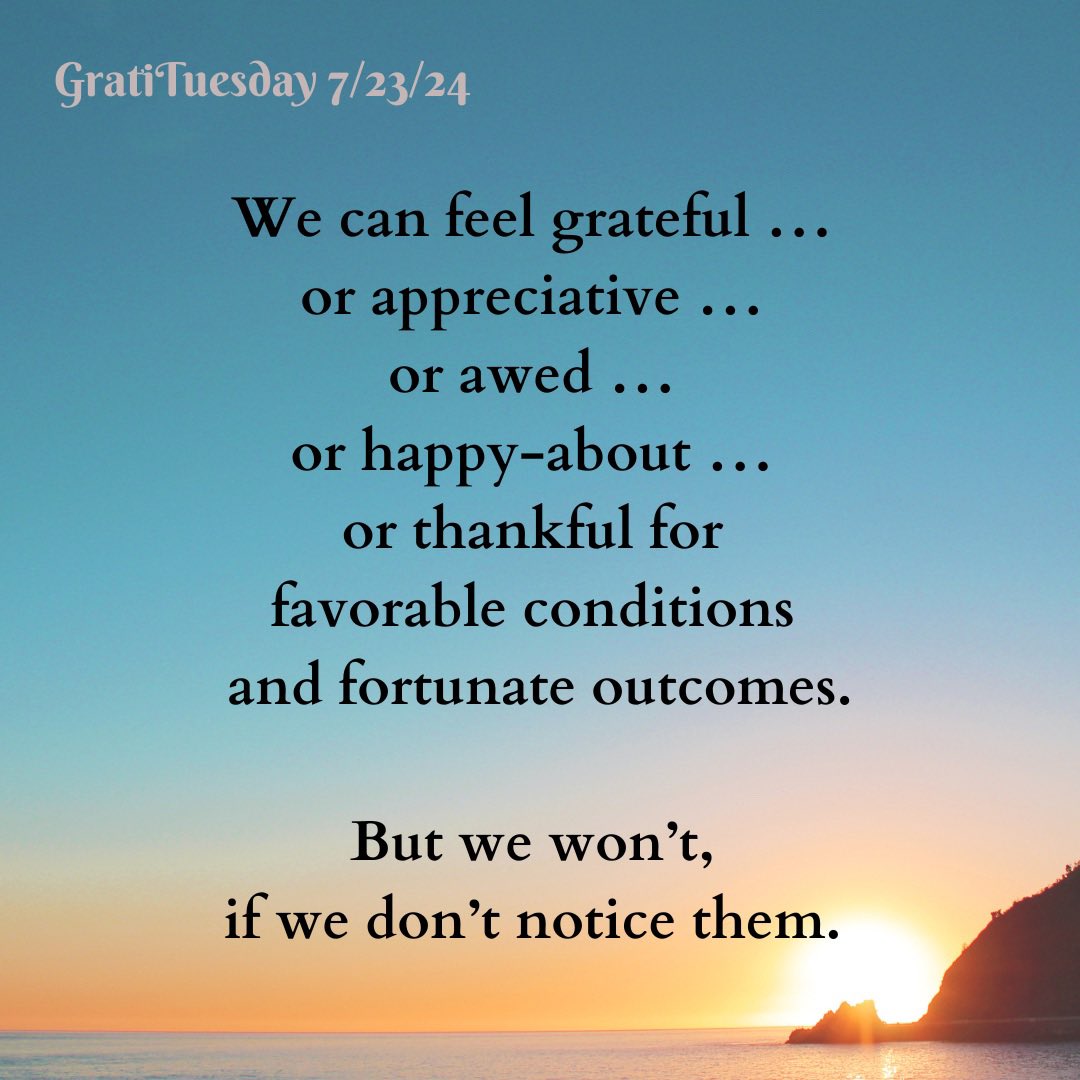 Awareness and Perspective  #gratitude #grateful