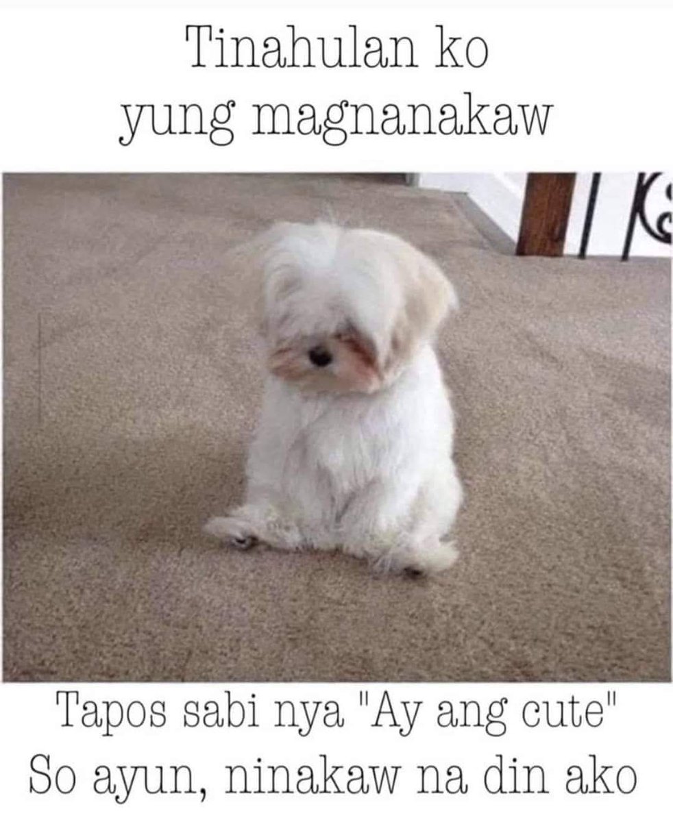 SolimarCatacut1's tweet photo. @Chiiiicpa https://t.co/WwODQMbE4N