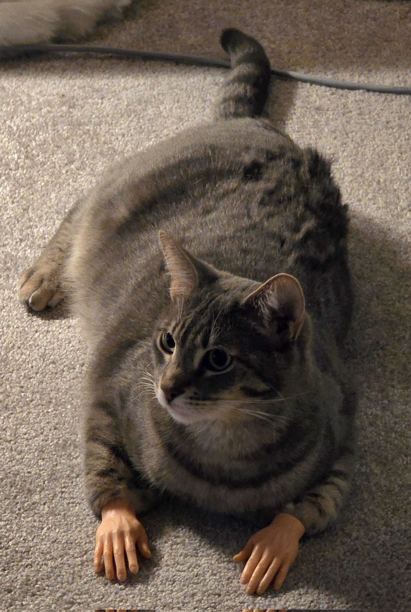 Evan Cwiertny tweet media