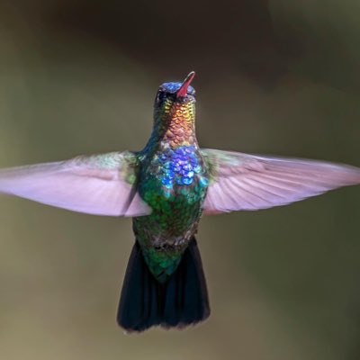 #NewProfilePic