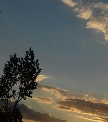 studiecore's tweet image. 「 #studytwt 」

– '06, esfp, 1w2
– aprendizagem de línguas
– foco: concursos bancários
– estagiária técnica em administração

♡ : linguagens, alanzoka, videogames, cachorros, toy story, "noitada com os amigos".