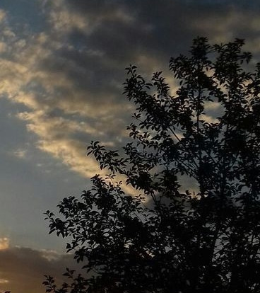 studiecore's tweet image. 「 #studytwt 」

– '06, esfp, 1w2
– aprendizagem de línguas
– foco: concursos bancários
– estagiária técnica em administração

♡ : linguagens, alanzoka, videogames, cachorros, toy story, "noitada com os amigos".