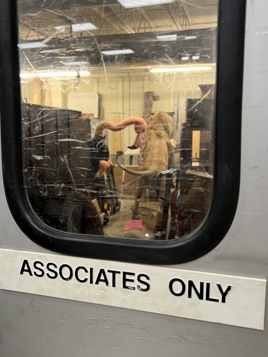 Tilly 🦜 tweet media