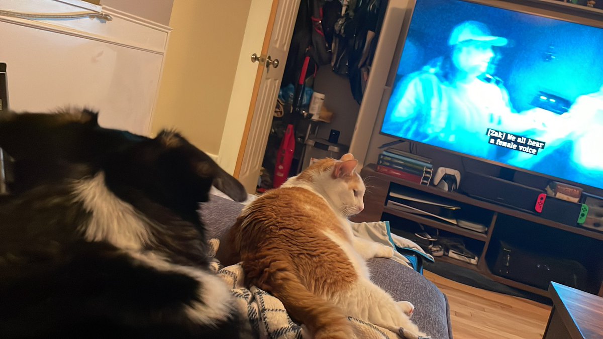 2katly's tweet photo. Gang, I wish I could make this up.
My corgi gets INTENSE anxiety when she hears certain noises (whistles, beeps)
She will pant, drool, pace around the house and slam into closed doors for upwards of 30 min.

The only thing that calms her down? 

Putting on “Ghost Adventures.” https://t.co/IOllEyFQMW