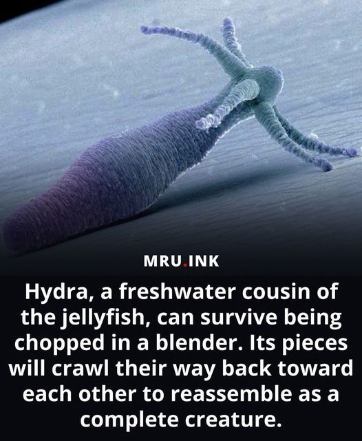 s8n's tweet image. sorry what???