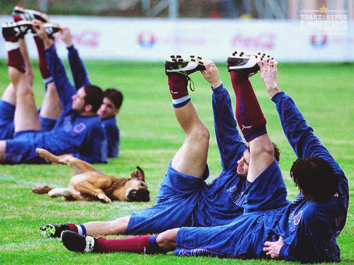 Trabzonspor Lovers tweet media