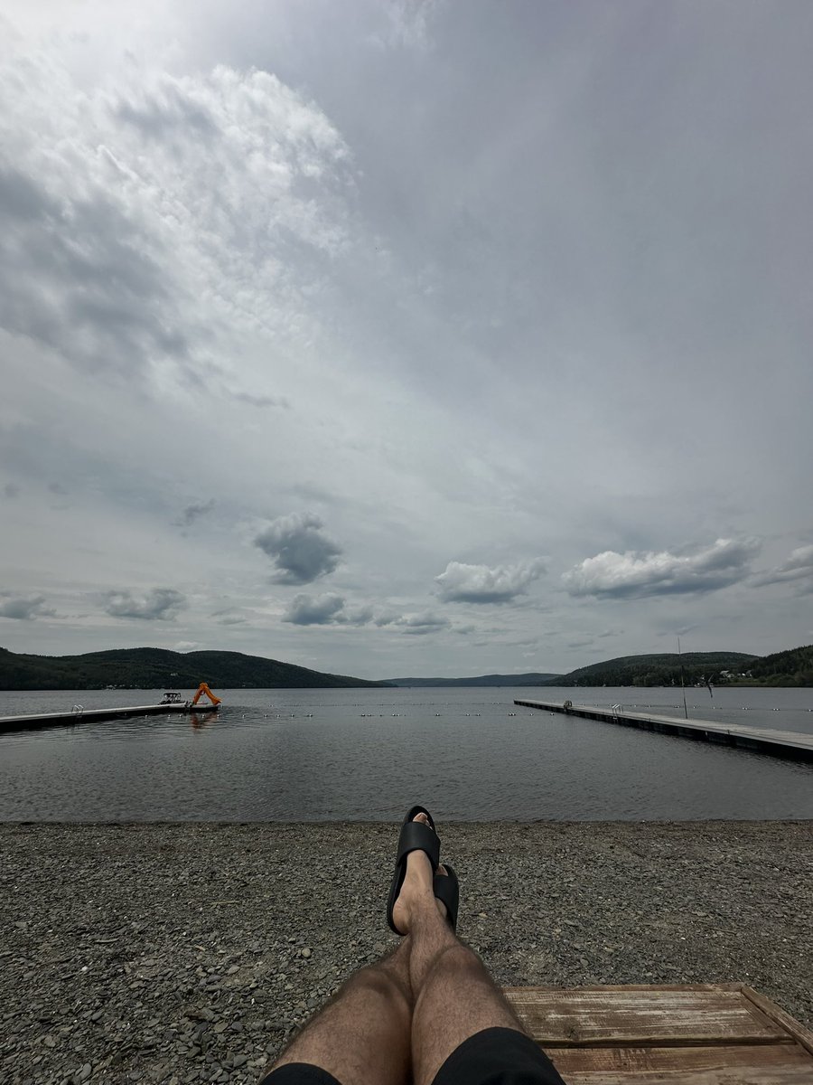 Moukdar1's tweet photo. A moment of peace 🫶🏻

#donald #Landwolf #memecoin #canada https://t.co/TrxzeGkZyu