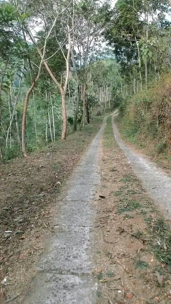 guszuli86's tweet photo. Dalam hidup akan ada saatnya sesuatu berjalan tidak sesuai dengan apa yang sudah di rencanakan. Sering kali keadaan memaksa kita untuk berlari,berjalan,dan bahkan berdiam,disaat yang tidak pernah terduga. Semua hanya dapat dilewati tanpa kata menyerah.

_Ahmad Sholikhin https://t.co/VgLwdpOU25
