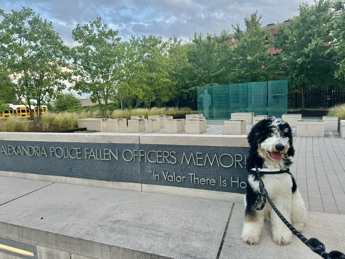 OTRLLC_DC_VA's tweet photo. Pup Field Training: Bruce booked some time with the Alexandria crew today at roll calls along with OTR’s Abbie, Will, &amp; Sarah before they headed out on patrol &amp; made sure to stop and pay respect at the memorial wall. 💙
#firstresponders #firstresponderfamily #Bruce #Therapy https://t.co/oBcJ6uPZ39