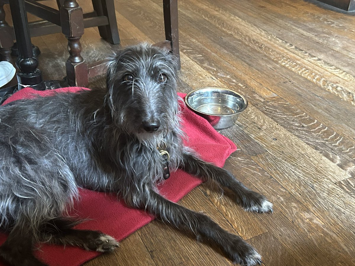 Saving London Pubs (@pubssaving) on Twitter photo Excellent Sunday roast <a href="/MagdalaTavern/">The Magdala, Hampstead</a> #bestpubs #pubs #sundayroast #hampstead #dogfriendly Excellent Sunday roast <a href="/MagdalaTavern/">The Magdala, Hampstead</a> #bestpubs #pubs #sundayroast #hampstead #dogfriendly
