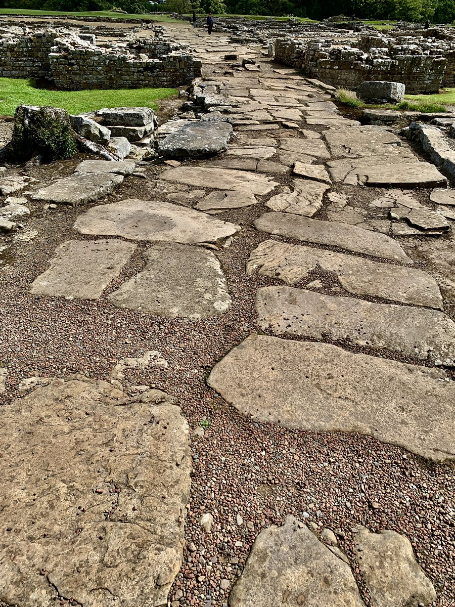 Michael Sadgrove 🇪🇺 tweet media