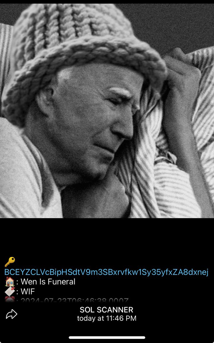 MichaelBeeNFree's tweet photo. Dead Biden Meta on Sol Scanner https://t.co/m5WBLsQym7
