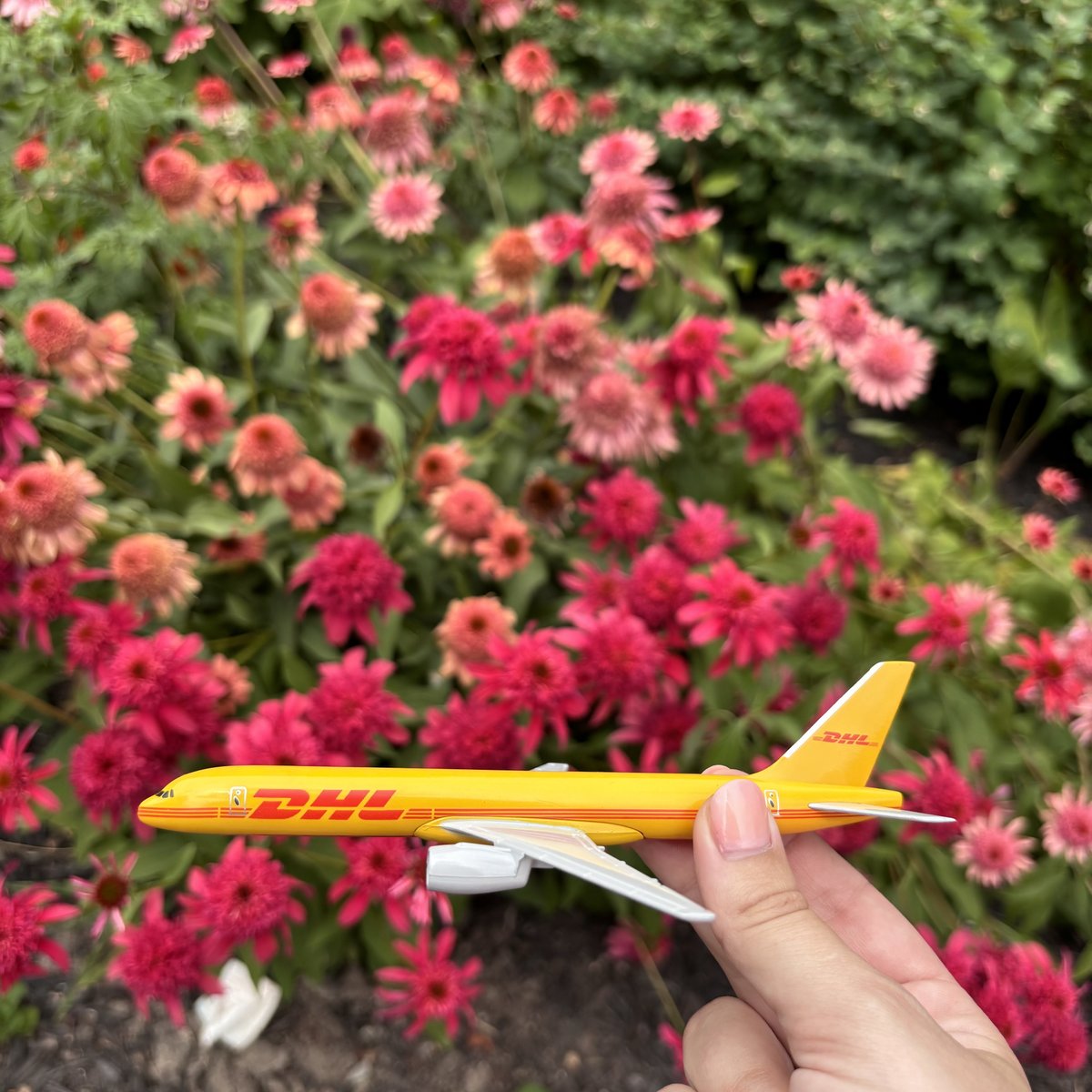 DHLExpressFI's tweet image. Kesä on täällä! Nauti auringosta ja anna DHL Expressin hoitaa nopeat kesätoimitukset. 🌸☀️

#SpeedOfYellow #DHLDelivers #ExcellenceSimplyDelivered