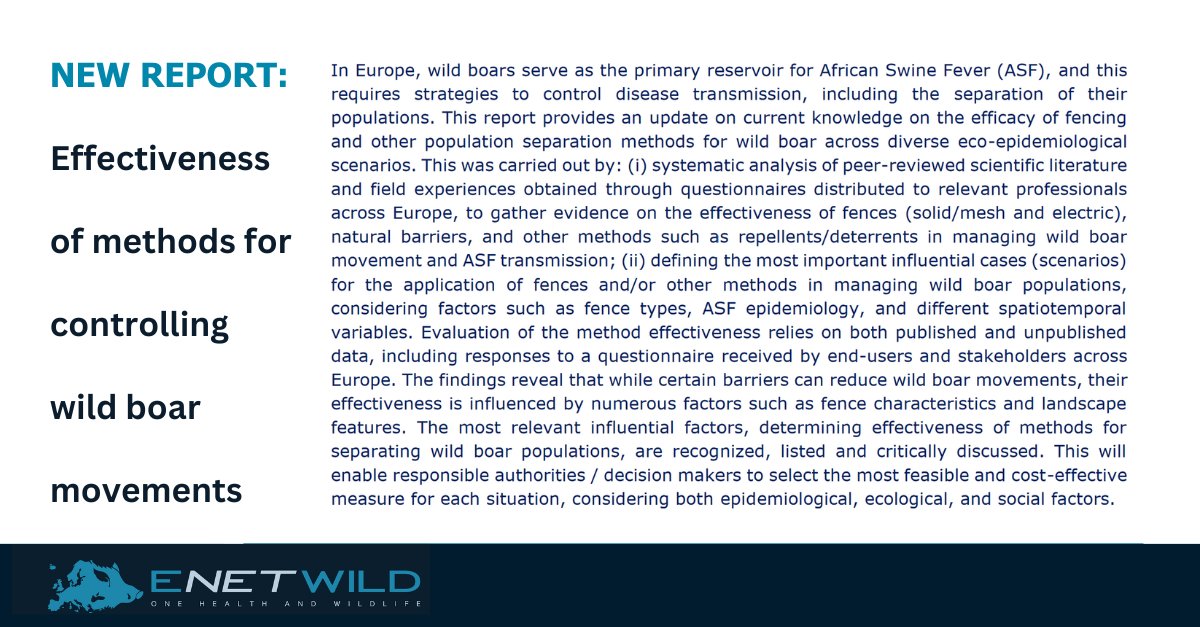 What is the most feasible and cost-effective method to separate wild boars and limit the spread of #AfricanSwineFever?

Our recent report provides new knowledge considering epidemiological, ecological and social factors. 

Read it freely available here:
zenodo.org/records/127057…